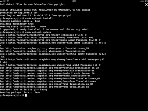 Remote Control Raspberry Pi with iPad SSH App - Three Dimensions