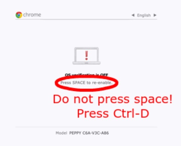 Chromebook Linux OS Press Space