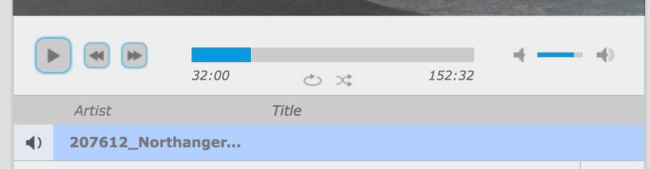 Music Player Media Controls